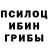 Галлюциногенные грибы ЛСД Berdiar Otegenulu