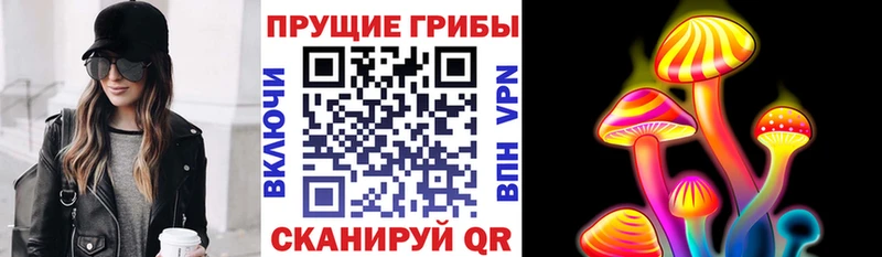 Псилоцибиновые грибы ЛСД  магазин продажи   Богородск 